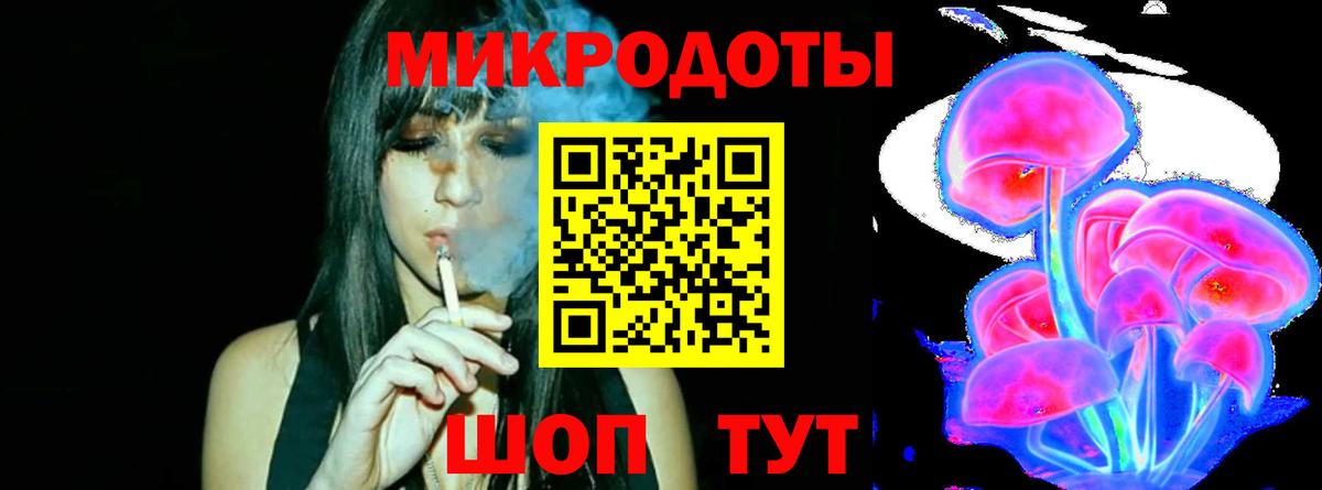Галлюциногенные грибы Psilocybe Тобольск