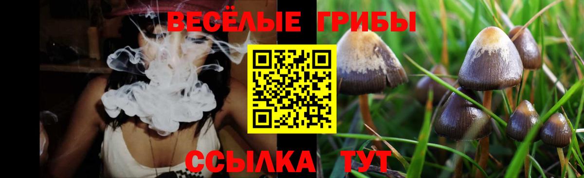 Псилоцибиновые грибы GOLDEN TEACHER  наркота  Тобольск  Вход с VPN 